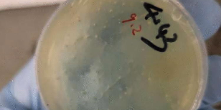 Feds Charge Another Chinese Citizen With Smuggling Biological Materials for Lab Work