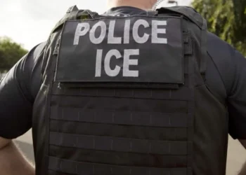 Tennessee Bill Seeks to Remove Public Officials Who ‘Disrupt’ ICE Efforts