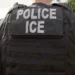 Tennessee Bill Seeks to Remove Public Officials Who ‘Disrupt’ ICE Efforts