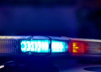 Yuba County Authorities Shut Down Illegal Marijuana Grow Sites